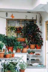 Mediterranean architecture and flowers on the terrace. Turkish decoration of terraces with pots and white plaster.