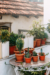Fototapeta na wymiar Mediterranean architecture and flowers on the terrace. Turkish decoration of terraces with pots and white plaster.