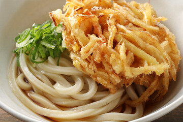 天ぷらを乗せた夏の味覚のざるうどん
