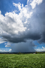storm in the soy plantation