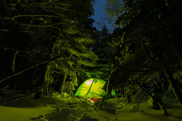 Snow forest camp