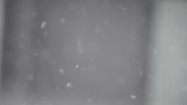 Pr&eacute;cipitations sous forme de neige