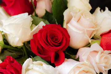 Background of red and white roses in full frame. Top view of a large beautiful bouquet of different roses.Concept of Valentine's day, wedding, birthday.Natural bright background.Soft focus, copy space