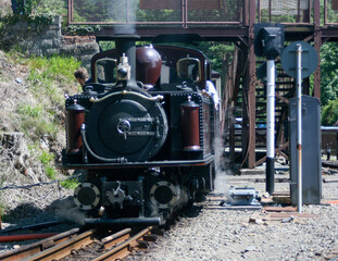 narrow gauge steam train in the countryside