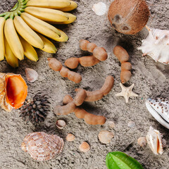 Tropical fruits. lots of colorful ripe tropical fruits