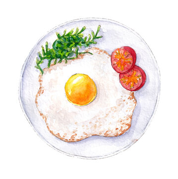 Hand drawn watercolor food sketch - Fried eggs