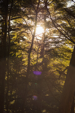 refrection of sun at mountain trails