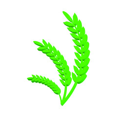 Green wheat ears on a white background 3d, vector