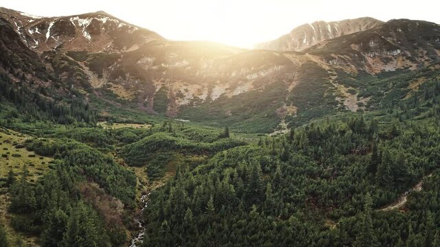 Mountain fir forest ranges at sunrise aerial. Nobody nature sun landscape. Green spruce trees at sunny day. Mountaineering vacation. Autumn Carpathian mount, Ukraine, Europe. Cinematic soft drone shot