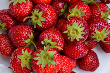 Strawberries on white plate. Freshly picked strawberry. Organic berries on white background. Village garden harvest.