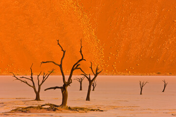 Valle Muerte Sossus Vlei Desierto Namib Namibia Africa