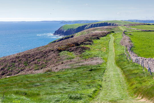 Caldey Island coastal path on the coastline cliffs of the coast of Tenby Pembrokeshire South Wales, stock photo image