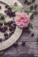 currants and rosehip flowers on an old vintage tray, garden roses, garden still life