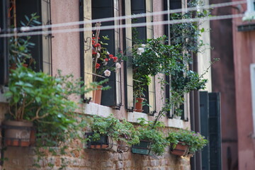 Fototapeta na wymiar Hauswand in Venedig (Sony A7ii, Minolta MD Rokkor 200/2.8)