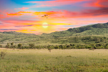 The great african savannah during a beautiful twilight sunset