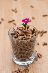 Pellets de madera (combustible para estufas de biomasa).