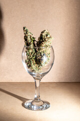 Medical marihuana buds inside a crystal glass.
