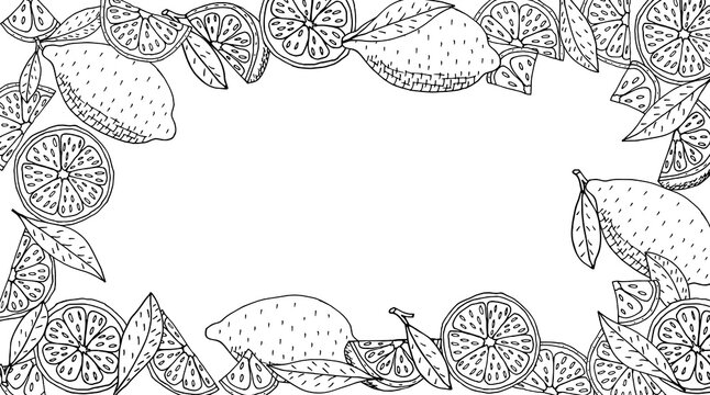 Frame of lemon fruit hand drawn in black with white colors. Place for text. Vector illustration.