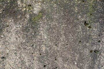 Concrete wall, sand plaster. Scratched and cracked concrete weathered with moss, stone wall