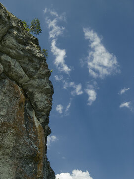Nordic mountain landscape. Nordic pines on a cap of rock on blue sky background. Taiga, in the north, Ural Mountains. 	