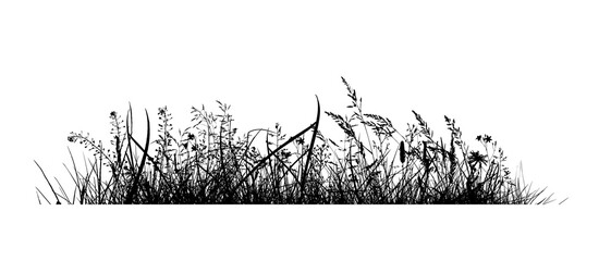 Abstract background with black silhouettes of meadow wild herbs and flowers. Wildflowers. Floral background. Wild grass. Vector illustration.