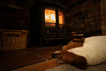 Obraz na płótnie Canvas Jack russell terrier dog in front of a fire log burner cosy and snug