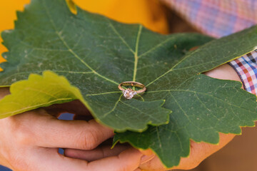 Engagement ring on big green leaf