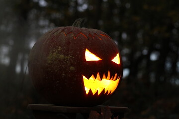 jack o lantern in the garden
