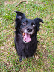 murilo-yoshio-photos