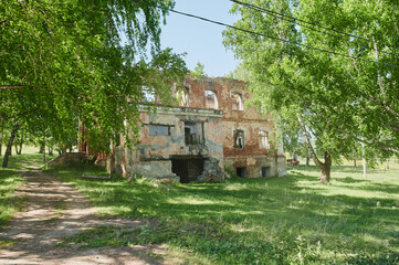 the remains of a derelict abandoned stone house covered in moss and overgrown with trees in a...