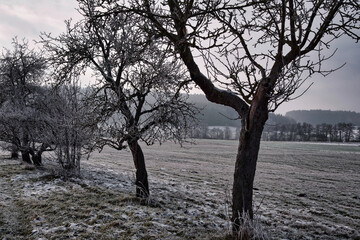 Winterlandschaft

