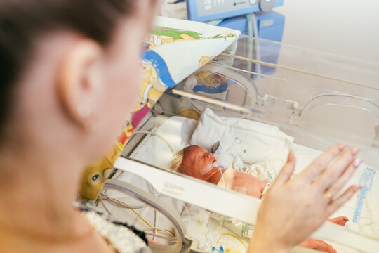 Portrait Of Premature Newborn Baby Sleeping In Incubator , ICu.