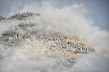 View on autumn forest under the snow in the clouds in Altay Mountains in october, Russia