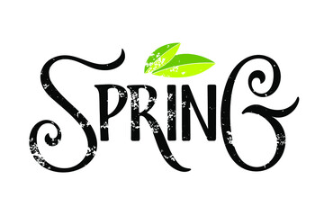 Spring lettering with leaves isolated on white. Hand drawn design for banner, flyer, brochure, card, poster. Spring time illustration. For holiday greeting card, invitation of seasonal spring holiday.