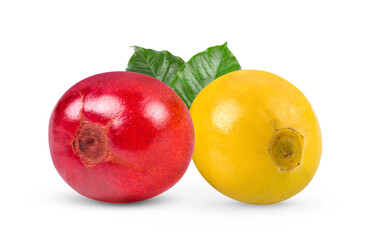 coffee beans on white background
