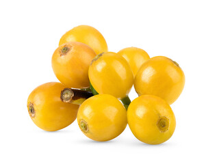 fresh yellow coffee beans on white background