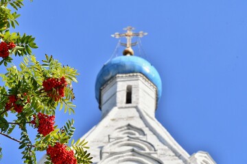 Fototapeta na wymiar Orthodox church with blue dome in summer and rowan tree with ashberries in front, Kolomna