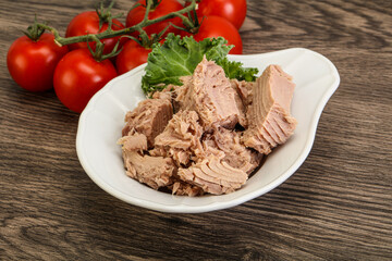 Canned tuna fillet in the bowl