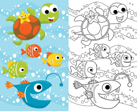 Vector cartoon of marine animals, starfish on turtle's back with colorful fishes underwater. Coloring book or page for kids