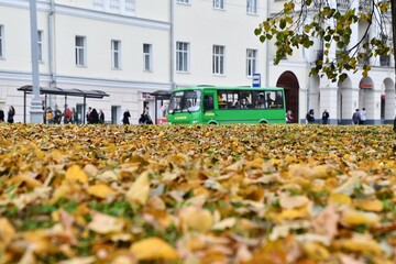 Green public bus on the street of the Ekaterinburg in Autumn with mapple leafs in front