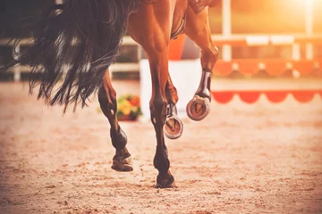 Foto op Canvas The shod hooves of a galloping bay horse step on the sand of an outdoor arena at equestrian competitions. Horse riding. Equestrian sports. ©  Valeri Vatel