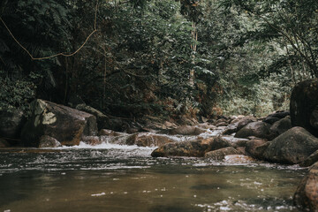 Amazing view of the rain forest stream in Malaysia.Vintage filter and artificial grain effect.