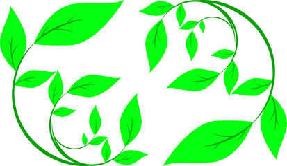 綺麗な形に曲がった葉っぱ