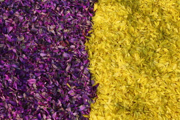 blue and yellow wool