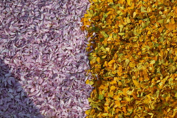 texture of a carpet of a carpet