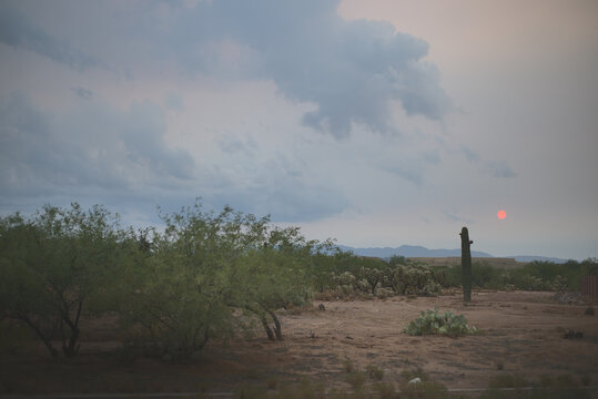 California Fires Reach Arizona
