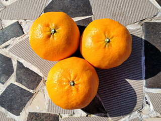 Red cent, red orange, Jeju red tangerine, 레드향, 제주레드향