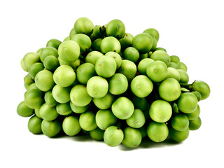 Solanum torvum,turkey berry,Pea Eggplant isolated on a white background,element of thai food concept