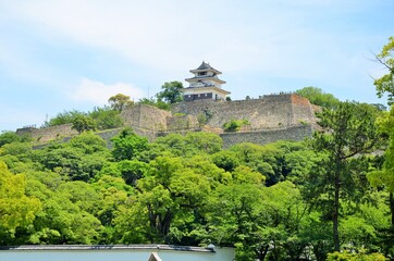 丸亀城 天守閣と石垣