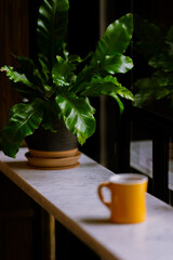 cup of tea and coffee on a table